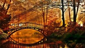 autumn bridges
